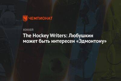 Бэй Лайтнинг - Илья Любушкин - The Hockey Writers: Любушкин может быть интересен «Эдмонтону» - championat.com - шт. Аризона