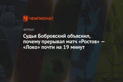 Ян Бобровский - Судья Бобровский объяснил, почему прерывал матч «Ростов» — «Локо» почти на 19 минут - championat.com