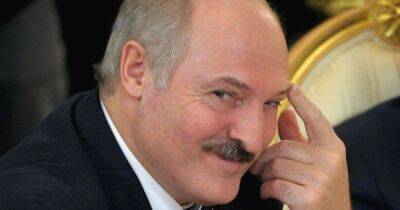 Александр Лукашенко - Лукашенко надеется поддерживать хорошие отношения с Польшей до конца года - dsnews.ua - Россия - Украина - Белоруссия - Польша - Чехия