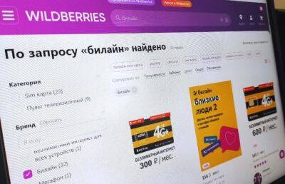 Товары и услуги от билайна появились на маркетплейсе Wildberries - afanasy.biz - Россия