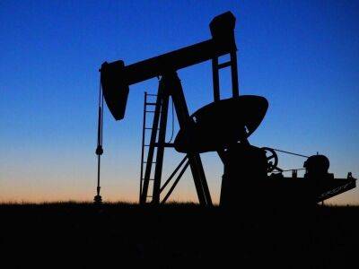 В Узбекистане обнаружили крупное месторождение нефти - smartmoney.one - Китай - Узбекистан - Газ