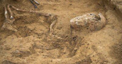 Археологи нашли редкие останки на поле битвы под Ватерлоо (фото) - focus.ua - Украина - Англия - Бельгия - Франция
