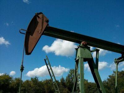 Нефть продолжает дешеветь: что влияет на цены - minfin.com.ua - Россия - США - state Texas - Украина