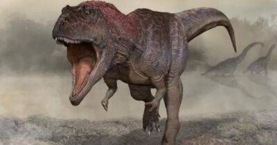Ученые выяснили, почему у больших хищных динозавров были маленькие передние лапы - focus.ua - Украина - Аргентина