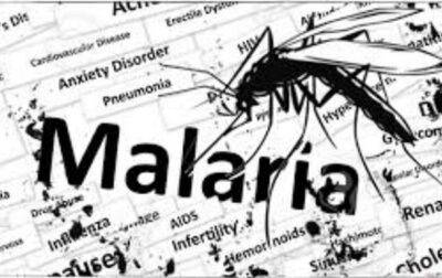 У жительницы Ровенской области обнаружили малярию - korrespondent - Украина - Танзания - Ровенская обл.