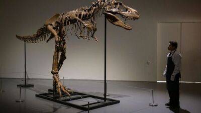 Скелет редкого Горгозавра продан за 6,1 млн долларов на аукционе в Нью-Йорке - unn.com.ua - США - Украина - Киев - Нью-Йорк - USA - Нью-Йорк - штат Монтана