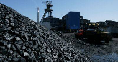 В Евросоюзе заработало эмбарго на импорт угля из России: где будут брать топливо - focus.ua - Россия - Украина - Казахстан - Германия - Ляйен - Нигерия - Танзания