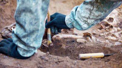 Кістки невідомого предка ссавців розкопали на півдні Франції - lenta.ua - США - Украина