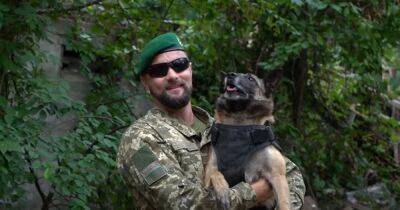 Служебная собака Эльма преодолела минные поля, чтобы вернуться к пограничникам (видео) - focus.ua - Украина - Крым - Николаев - Мариуполь
