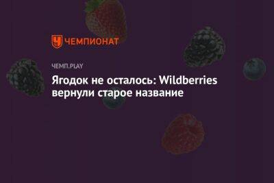 Татьяна Бакальчук - Ягодок не осталось: Wildberries вернули старое название - championat.com - Россия