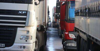 ГПК: количество грузового и легкового транспорта на въезд в ЕС увеличилось - grodnonews.by - Белоруссия - Ес