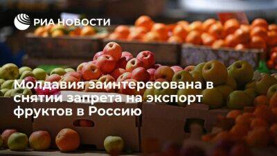 Майя Санду - Олег Васнецов - Санду заявила, что Молдавия заинтересована в снятии запрета на экспорт фруктов в Россию - smartmoney.one - Россия - Молдавия - Кишинев - Приднестровье