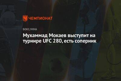 Окамото Бретт - Ислам Махачев - Чарльз Оливейра - Мухаммад Мокаев выступит на турнире UFC 280, есть соперник - championat.com - Россия - Бразилия - Канада - Абу-Даби