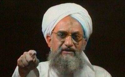 Забихулла Муджахид - Усама Бен-Ладен - США ликвидировали в Афганистане главаря "Аль-Каиды" - podrobno.uz - США - Узбекистан - Египет - Афганистан - Каир - Ташкент