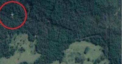 Австралия - Google Maps, возможно, показали самолет, упавший в тропическом лесу Австралии (фото) - focus.ua - Украина - New York - Эфиопия - Аддис-Абеба - Australia - штат Квинсленд