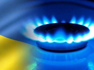 Дмитрий Разумков - Украинский депутат предложил конфисковать российский газ и отправить его Европе - smartmoney.one - Украина - Киев - Газ