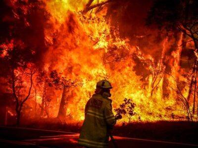 Лесной пожар в Калифорнии: количество погибших выросло до четырех человек - unn.com.ua - Украина - Киев - Сан-Франциско - шт. Калифорния