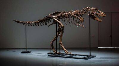 Повний скелет динозавра продано на Sotheby's за рекордну суму - lenta.ua - Украина - шт.Флорида - штат Монтана
