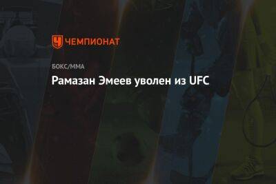 Рамазан Эмеев - Рамазан Эмеев уволен из UFC - championat.com - Австралия - Сингапур