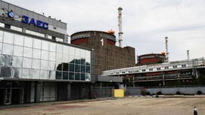 МАГАТЭ: Запорожская АЭС снова подключена к украинской сети - svoboda.org - Россия - Украина - Вена - территория Запорожская