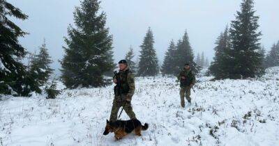 40 сантиметров снега: уклонистов предупредили, что бежать за границу через горы небезопасно - focus.ua - Украина - Молдавия