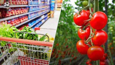Фрукты и овощи могут стать дефицитными: фермеры ЕС рассматривают возможность остановки бизнеса - 24tv.ua - Египет - Турция - Германия - Тунис - Марокко - Культура - Газ