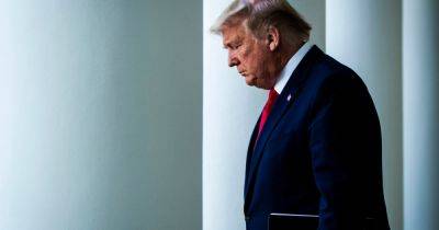 Трампа могут снять с президентских выборов более чем в 20 штатах США