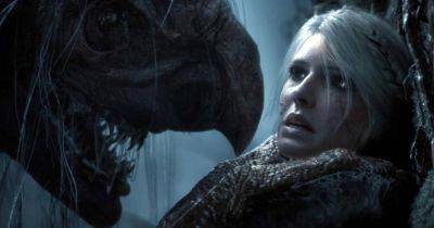 Вам не послышалось: Цири в The Witcher 4 будет озвучивать другая актриса, для которой это станет первый крупный игровой проект