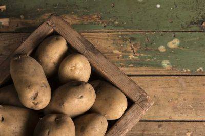 Диетолог рассказал, в каком виде картофель наиболее полезен - cursorinfo.co.il