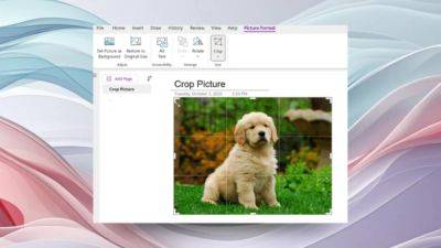 В OneNote теперь можно обрезать фотографии