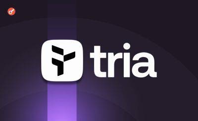 Стартап Tria привлек $12 млн в рамках двух раундов финансирования