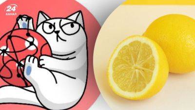 В monobank снова был сбой из-за массовых поисков лимонов