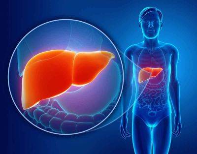 Признаки больной печени: врачи рассказали, какие симптомы нельзя игнорировать