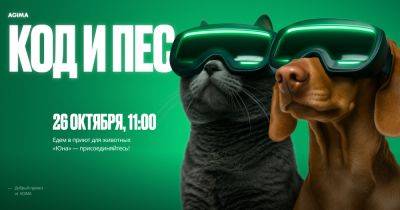 «Код и пес»: собираем IT-комьюнити и помогаем приюту для животных
