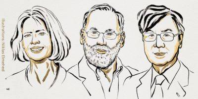 Нобелевскую премию по медицине и физиологии присудили за открытия в области иммунной системы