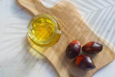 Оливковое масло натощак: как этот модный тренд сказывается на здоровье