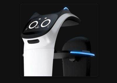 В админ-панели крупнейшего поставщика коммерческих роботов Pudu Robotics нашли уязвимость