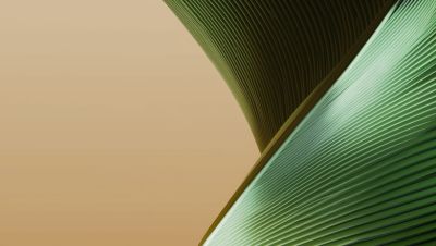 90% компаний АПК и 52% ритейлеров стали больше тратить на ИТ в 2025 году