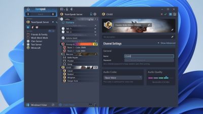Из-за негативной реакции на внедрение Discord строгой проверки возраста пользователи перегрузили серверы TeamSpeak
