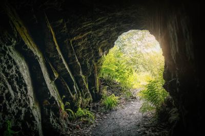 Археологи обнаружили пещеру с доисторическими рисунками (ФОТО)